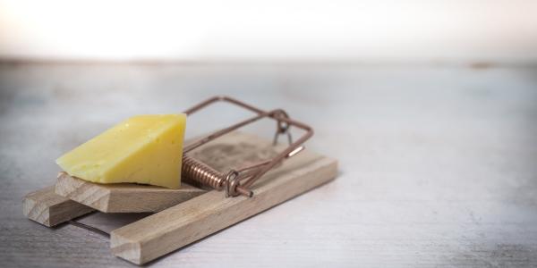 Mouse Trap - Snap Trap with Cheese as Bait